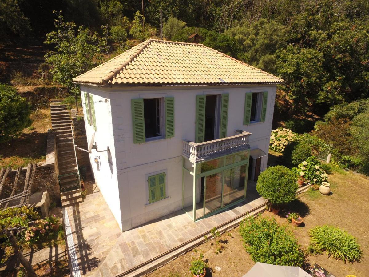 Aroma Green Villa Cagnano Exterior photo